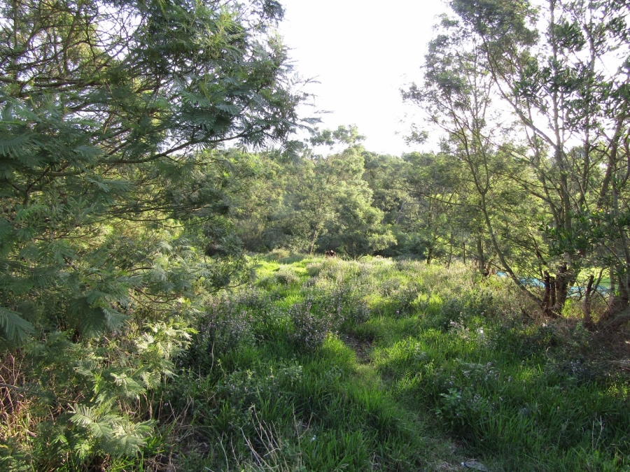 0 Bedroom Property for Sale in Kruisfontein Eastern Cape